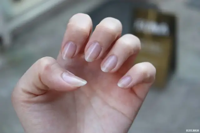 으나네일 사진 8