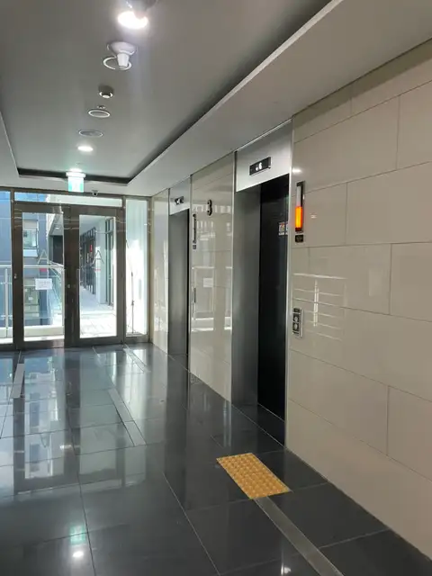 와이오브로우 사진 5