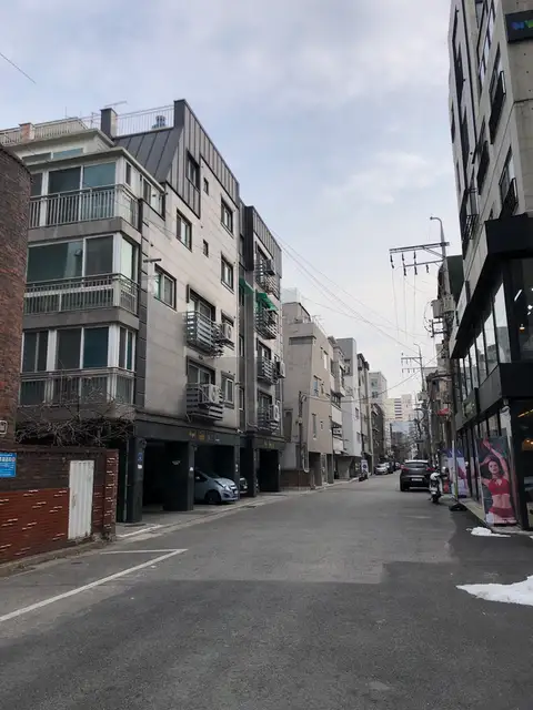 네일플럼 사진 4