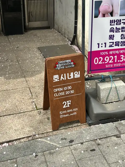 호시네일 사진 3