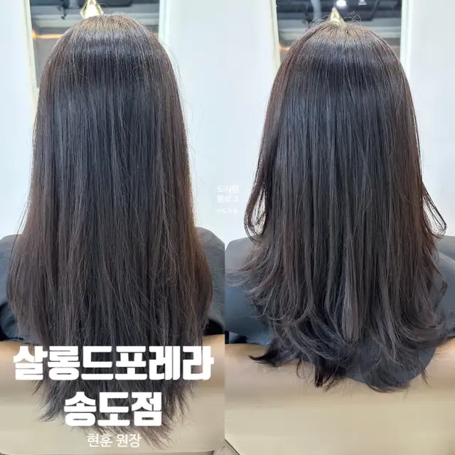 살롱드포레라 송도점 사진 5