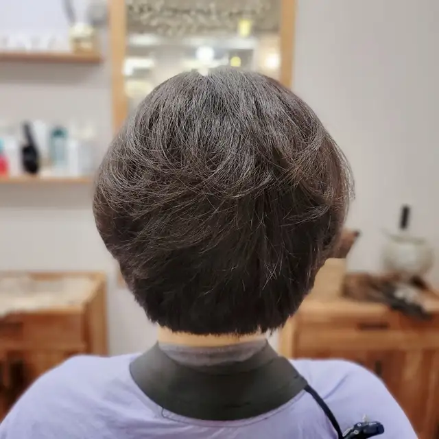 봄오후2시 사진 4