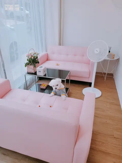 두블리 사진 2