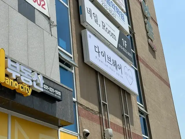 다이브헤어 사진 2