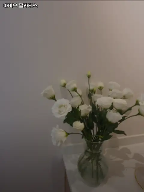 아비오 필라테스 사진 5