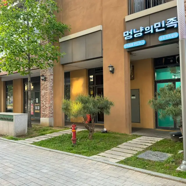 치치태닝 사진 6