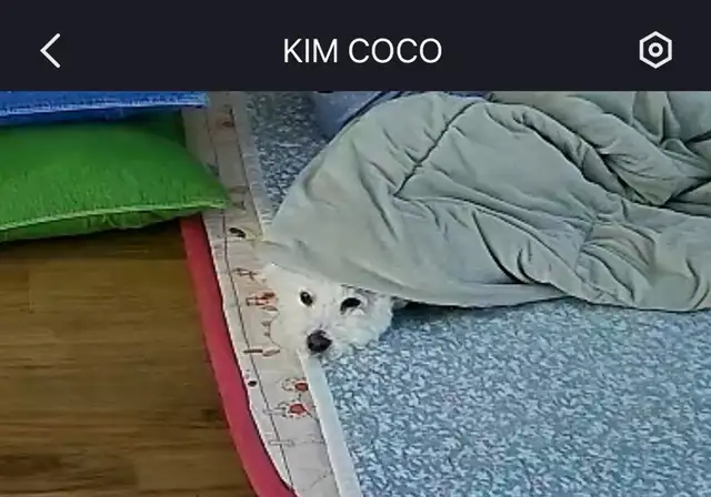 네일드미우 퇴계점 사진 6