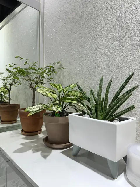 라라필라테스 사진 6