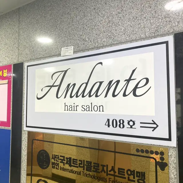안단테 사진 4