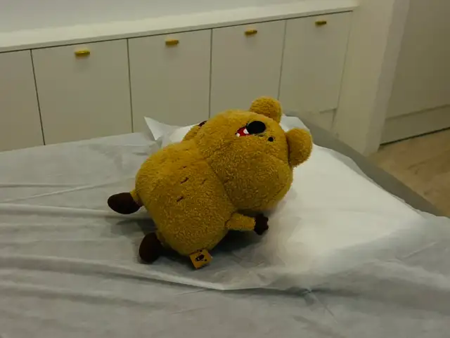 로로살롱 사진 5