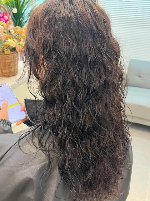 뮤리헤어 사진 7