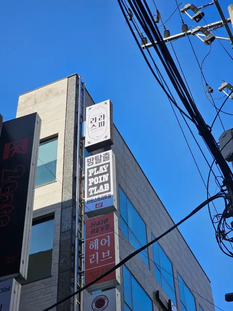 라라스파 사진 8