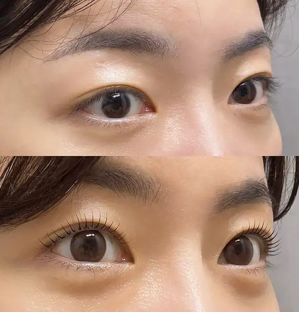 보리네눈썹가게 사진 1