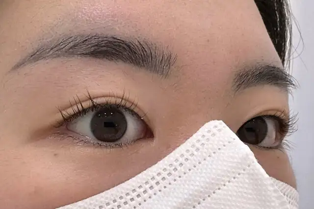 브로우앤 사진 6