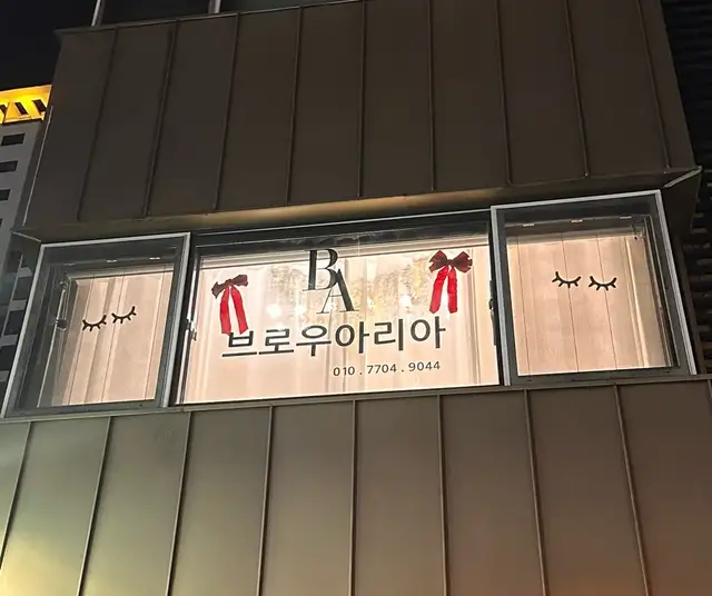 브로우아리아 사진 2