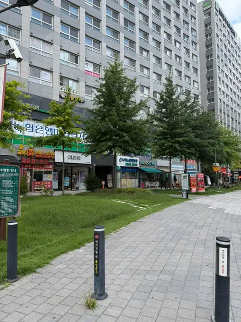 아마릴리스뷰티 사진 8