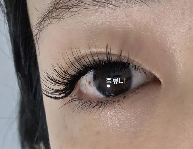 루니크래쉬 사진 2