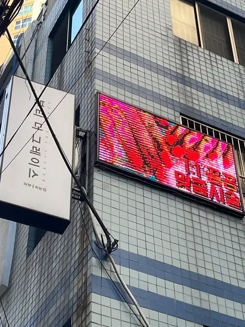 뷰티더그레이스 사진 4