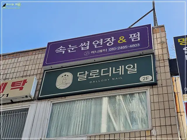 달로디네일 사진 6
