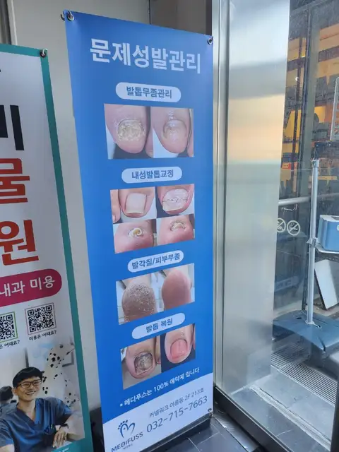 메디푸스 사진 7