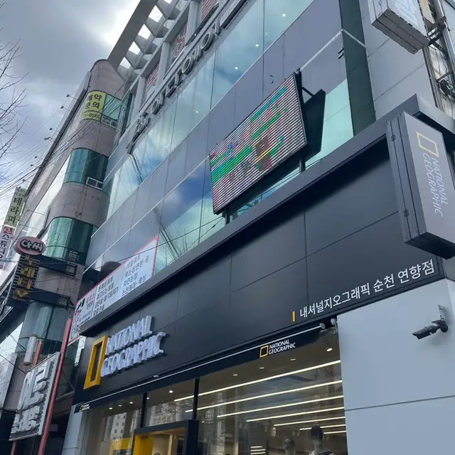 머지네일 사진 3