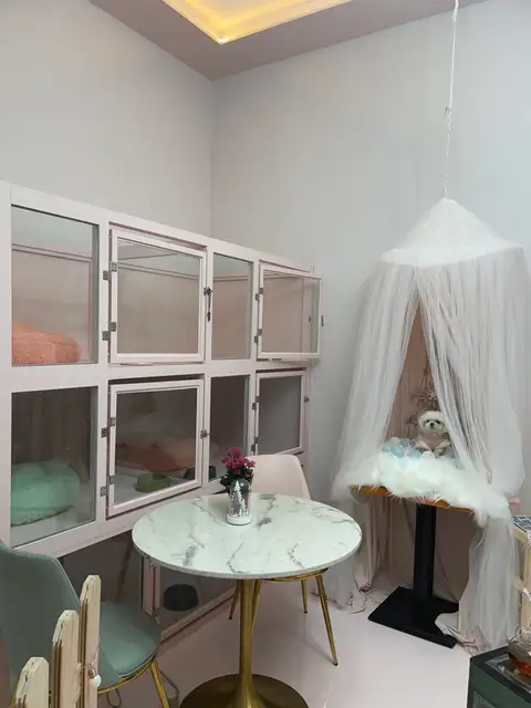 티나네강아지미용실 사진 4