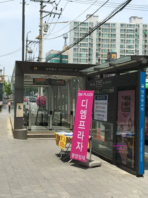 레미네일속눈썹 사진 3
