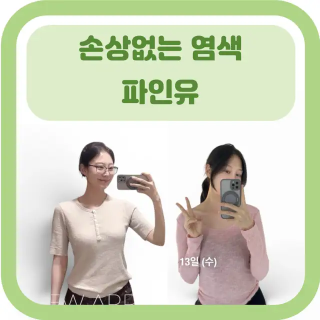 파인유 사진 5