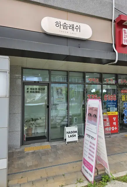 하솜래쉬 사진 5
