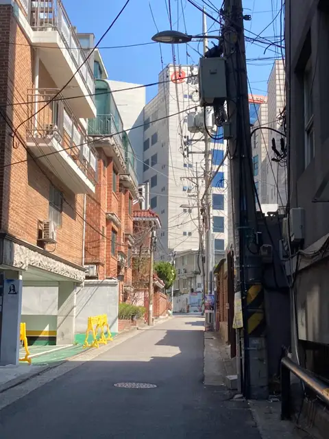 일루왁싱 사진 7