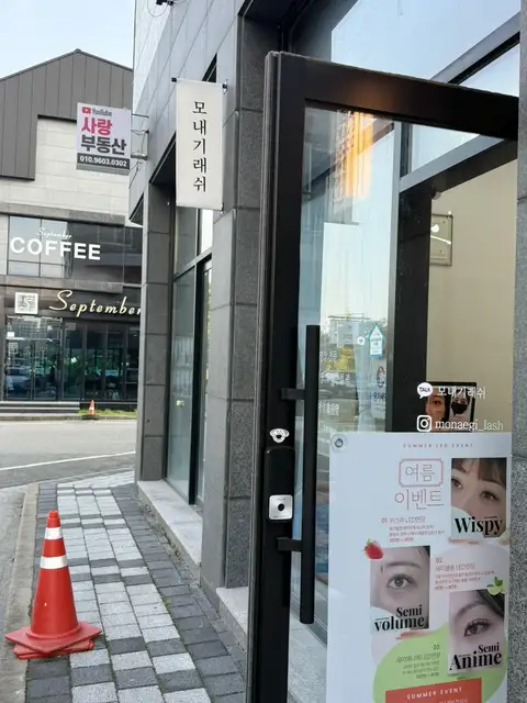 모내기래쉬 사진 5