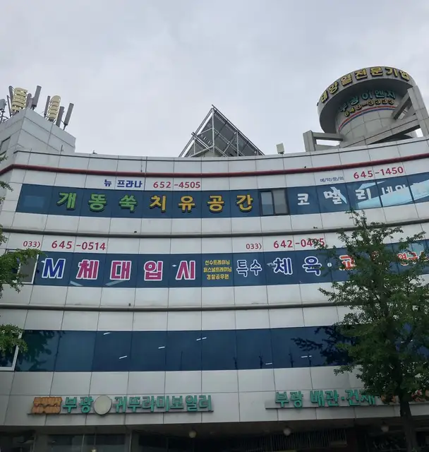 뉴프라나 사진 5
