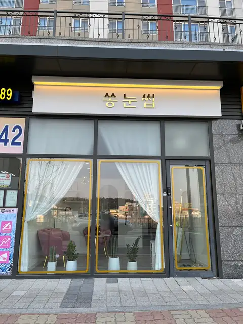 쏭눈썹 사진 7