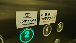 선사하다 사진