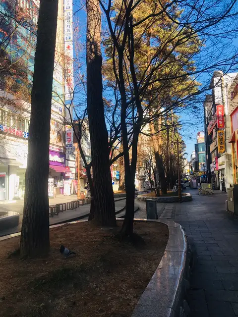 리오라 사진 7