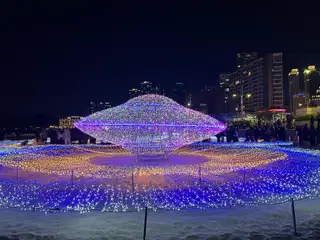 채린네일 사진