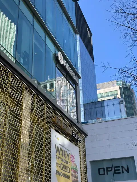 바이디 사진 7