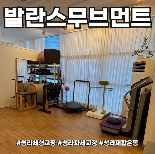 발란스무브먼트 사진 3