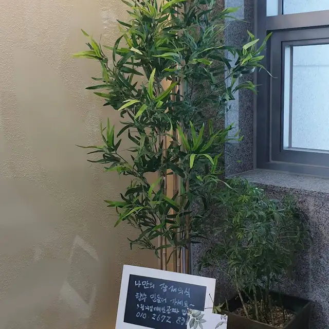 벤자롱스파 마곡점 사진 3
