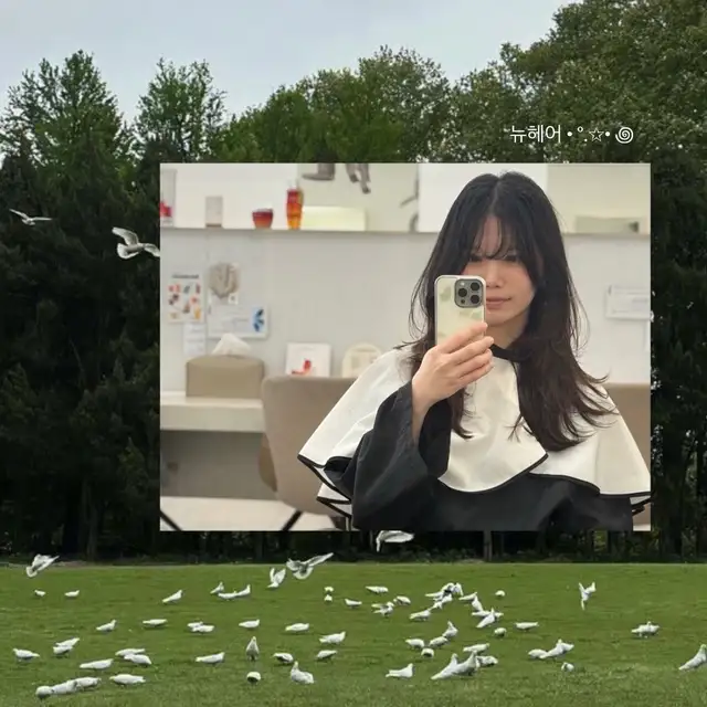아언헤어 사진 3