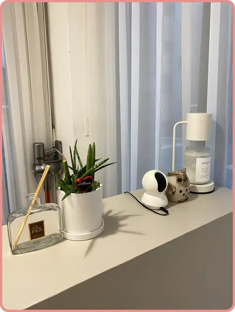 필라테슈 사진 2