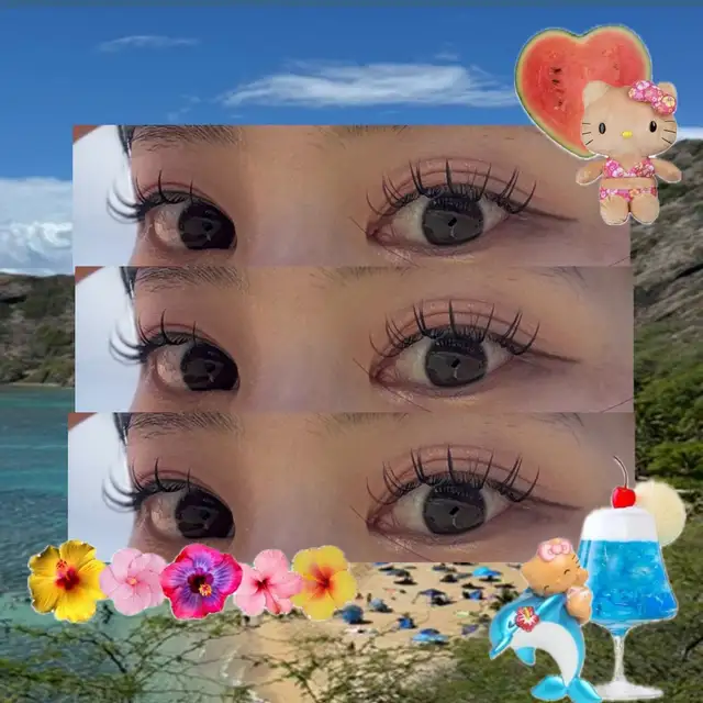 지지래쉬 사진 5