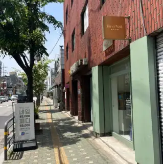 피노네일 사진