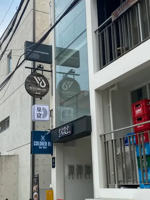 컬러드바이 사진 2