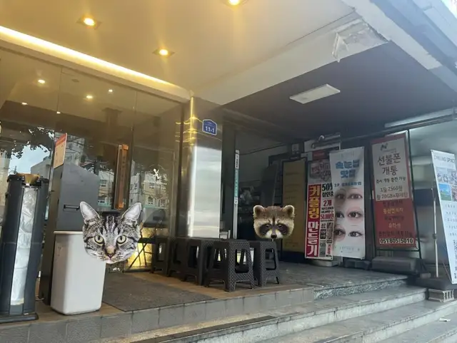라온네일 사진 7