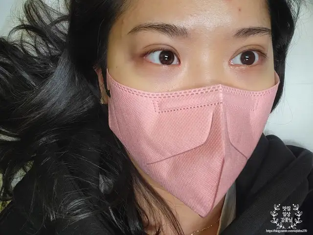 피노브로우 사진 3