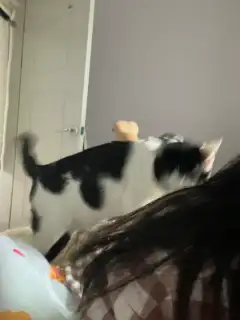 루시네일 사진