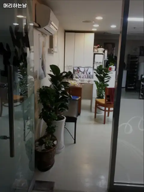 머리하는날 사진 2