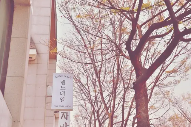 앤느네일 사진 3