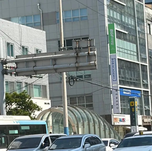 손달샘 사진 5